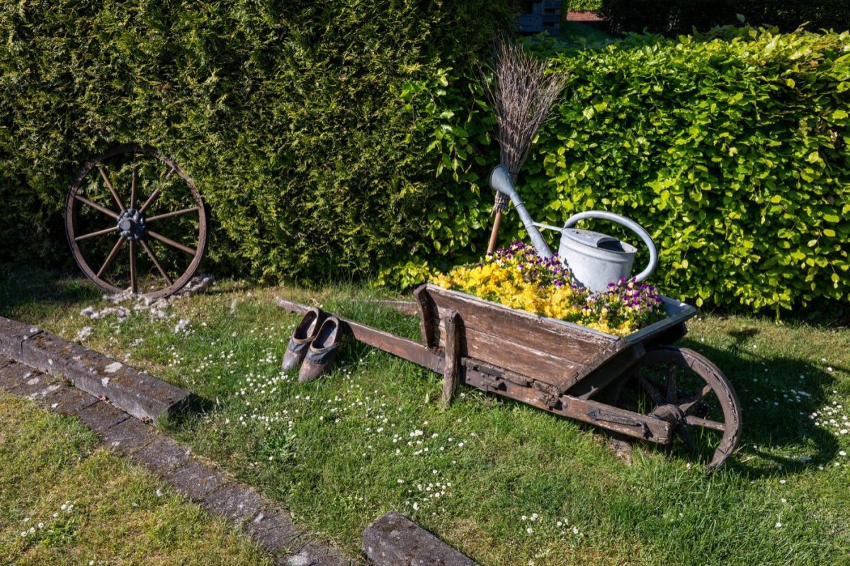 Meilleurs outils de jardin d'occasion à acheter