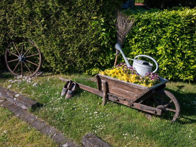 Meilleurs outils de jardin d’occasion à acheter