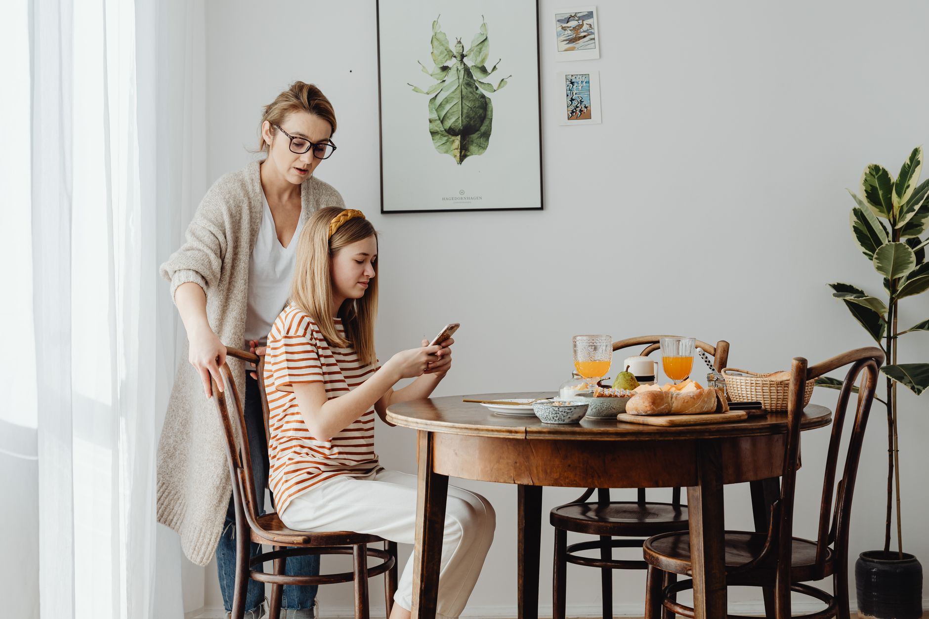Eau domestique en maison : obligations et risques