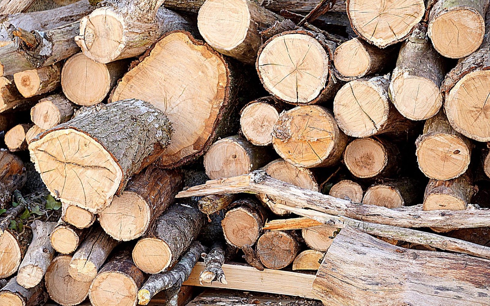 Comment fonctionne une chaudière à bois, du foyer aux radiateurs