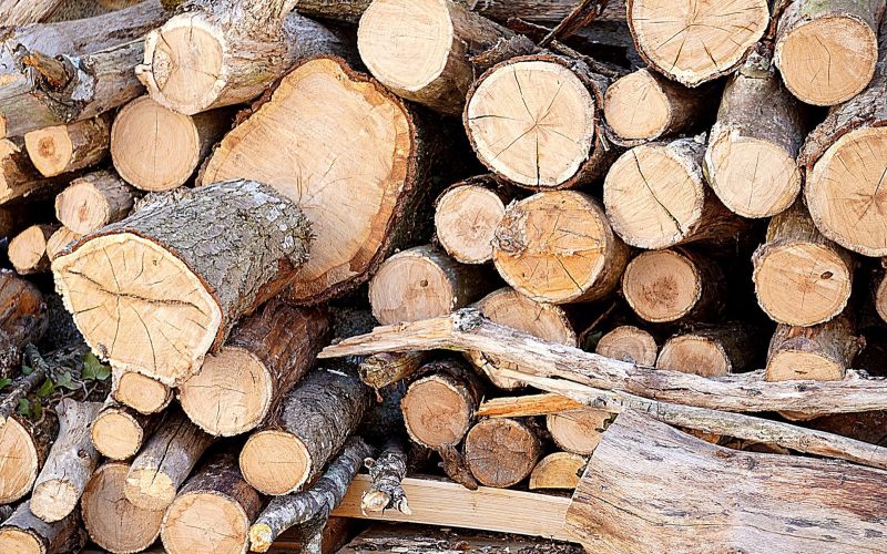 Comment fonctionne une chaudière à bois, du foyer aux radiateurs
